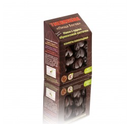 Конфеты шоколадные "Изюм с ядром абрикосовой косточки" Theobroma, 160г